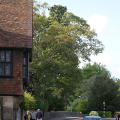 DSC01146