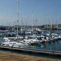 DSC01237