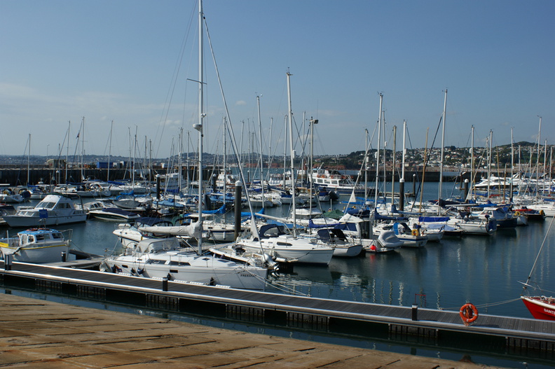 DSC01237.jpg