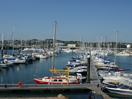 DSC01239