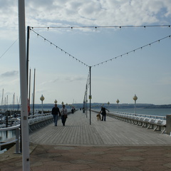 DSC01217