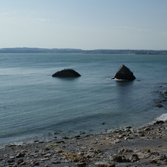 DSC01246