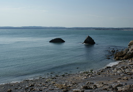 DSC01246