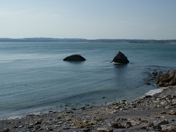 DSC01246