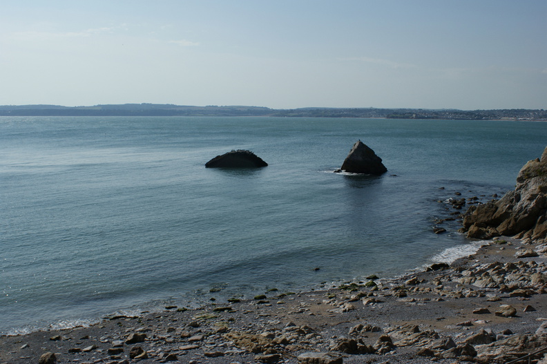 DSC01246.jpg