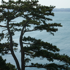 DSC01255