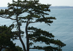 DSC01255