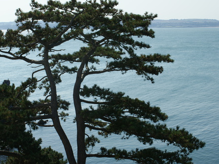 DSC01255