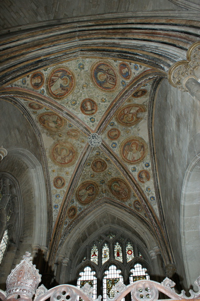 DSC01379.jpg