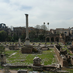 DSC00350