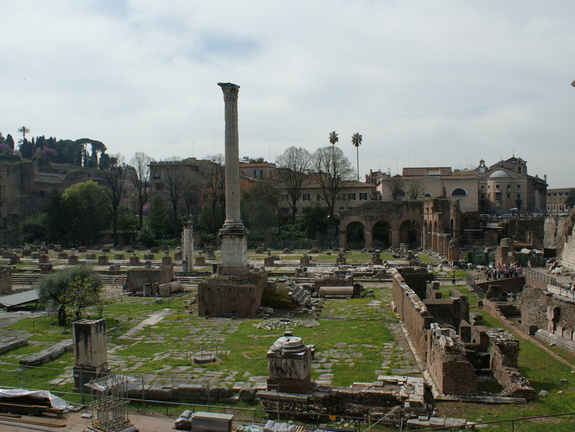 DSC00350