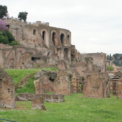 DSC00543