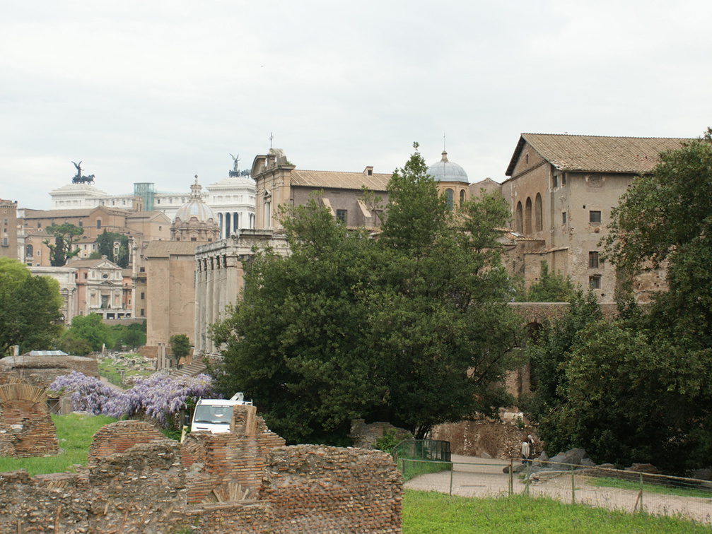 DSC00545