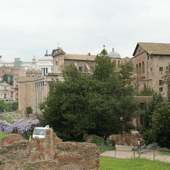 DSC00545