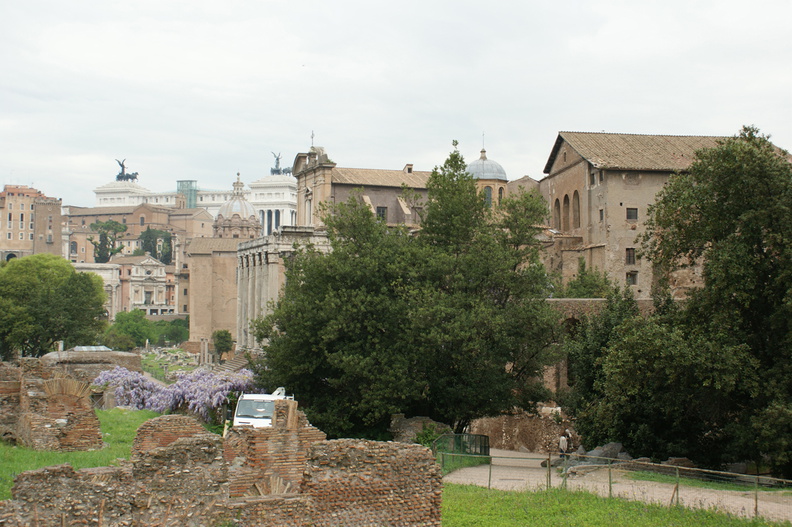 DSC00545.jpg