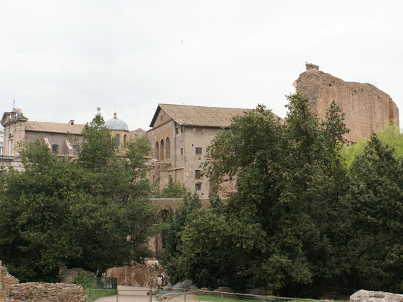 DSC00546