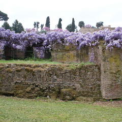 DSC00547