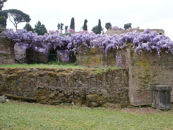 DSC00547
