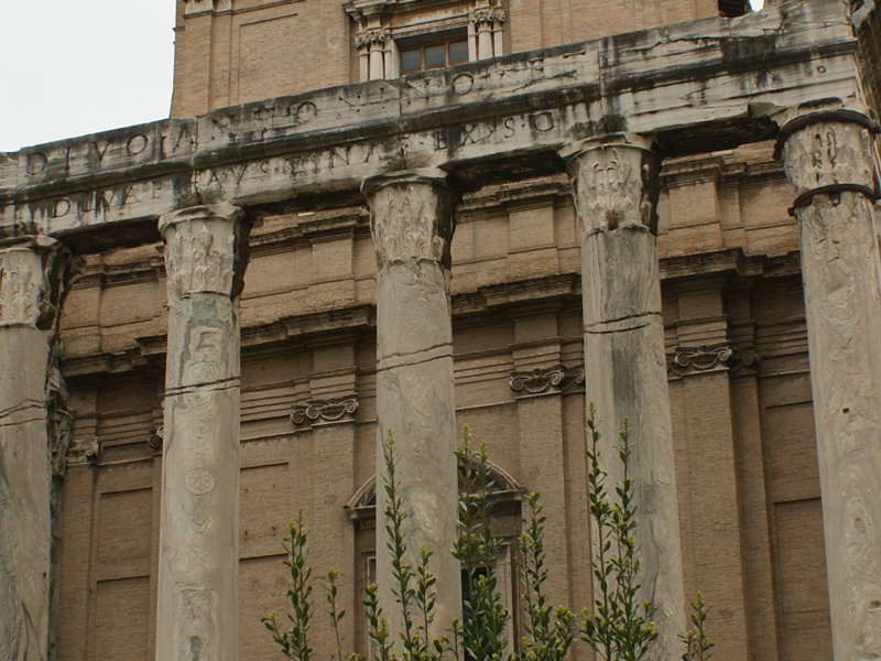 DSC00551