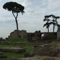 DSC00573