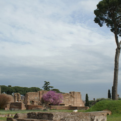 DSC00577