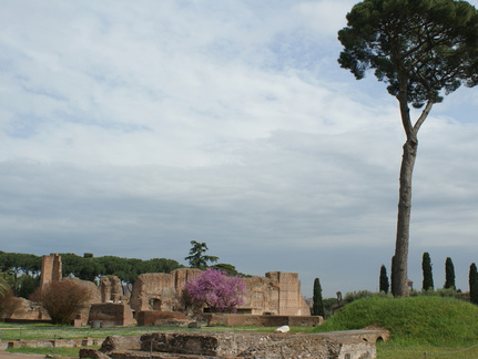 DSC00577