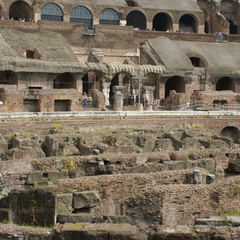 DSC00597