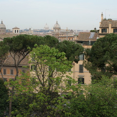 DSC00629