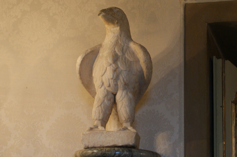 DSC00631.jpg