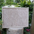 DSC00713
