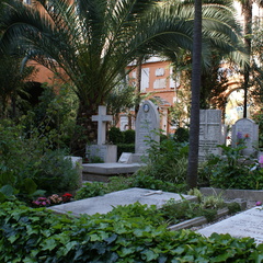 DSC00715