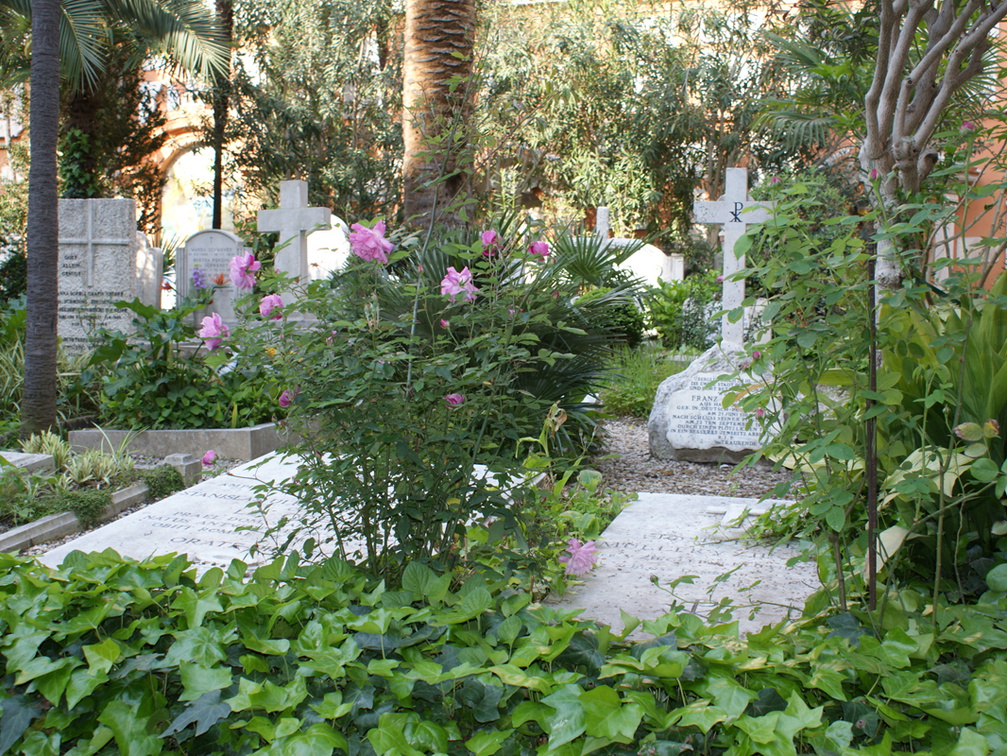 DSC00716