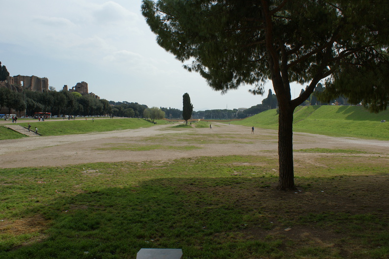 DSC00776.jpg