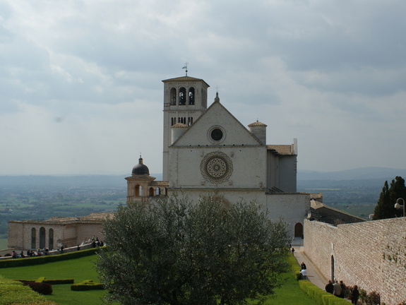 DSC00984