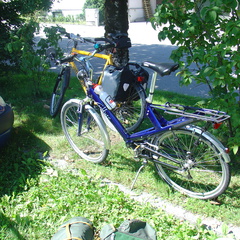 DSC05684