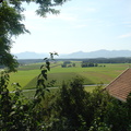 DSC05703