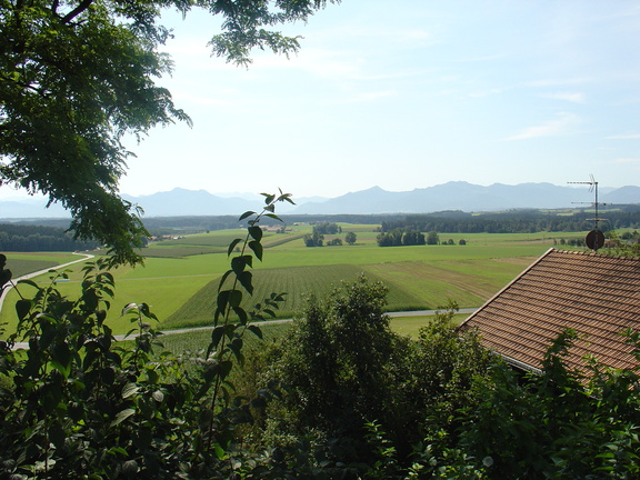 DSC05703