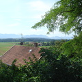 DSC05704