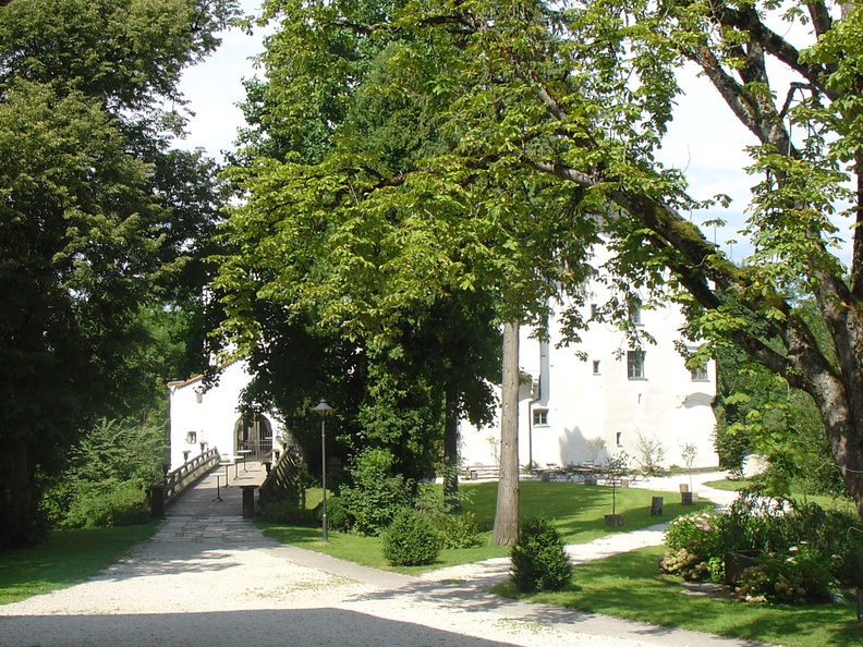 DSC05705