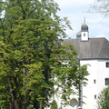 DSC05706