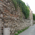 DSC05739