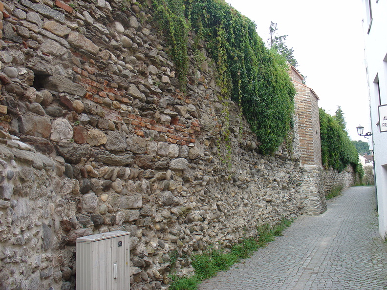 DSC05739