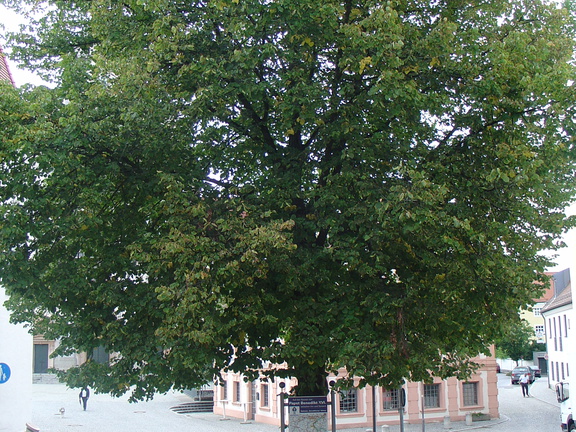 DSC05821