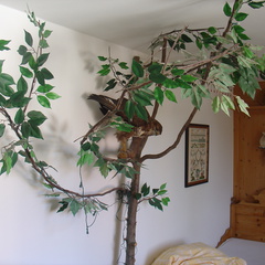 DSC05823
