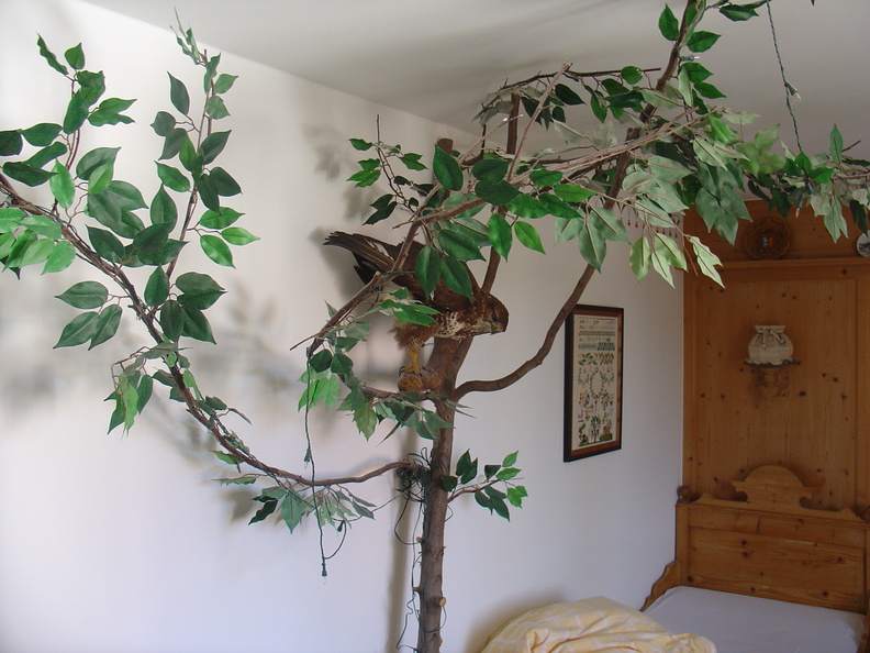 DSC05823.JPG