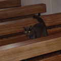 DSC05855