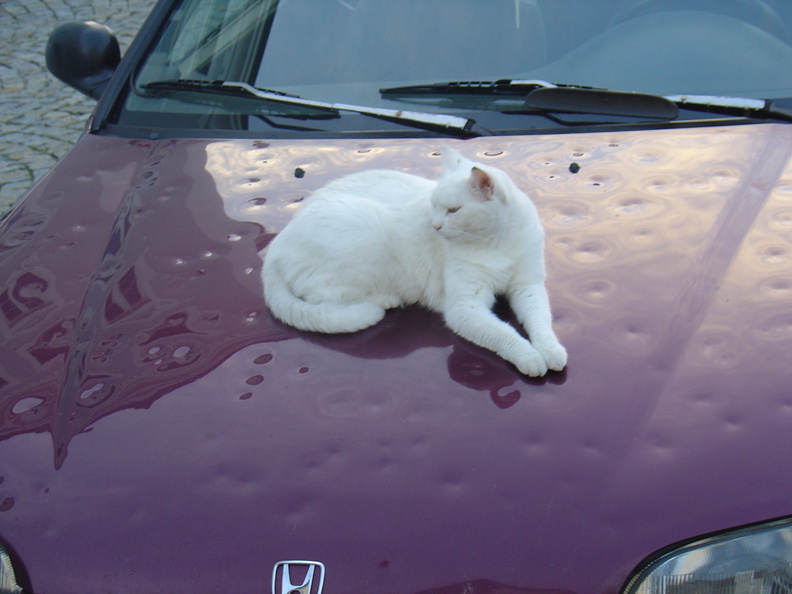 DSC05902.JPG