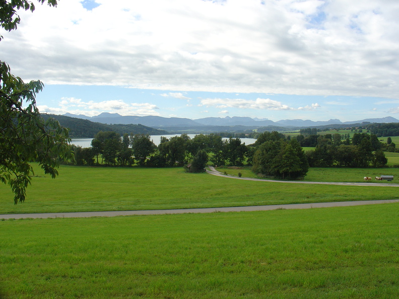 DSC05908