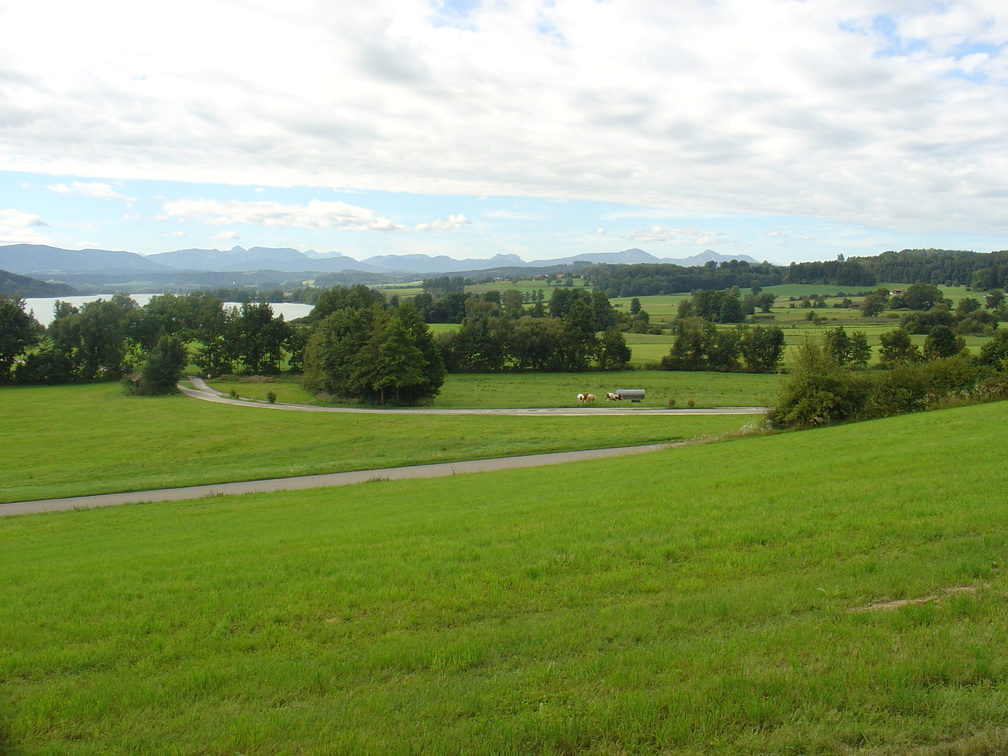 DSC05909