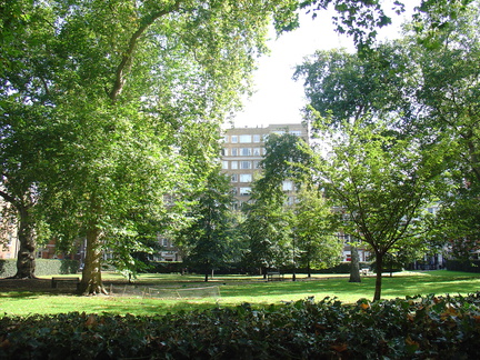 DSC06116